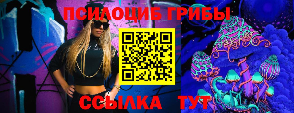 Галлюциногенные грибы Psilocybine cubensis Соль-Илецк